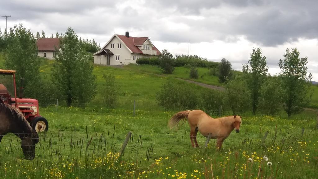 Birkikinn Holiday Home エクステリア 写真